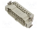 Connector: HDC; contact insert; male; CNE; PIN: 32; 32+PE; 16A; 600V