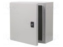 Enclosure: wall mounting; X: 300mm; Y: 300mm; Z: 150mm; Spacial CRN