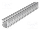 Profiles for LED modules; recessed; natural; L: 2m; aluminium