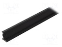 Profiles for LED modules; angular; black; L: 2m; aluminium; 30/60°