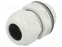 Cable gland; IP68; Mat: polyamide; light grey; push-in