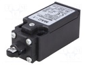 Limit switch; plunger with plastic roller Ø11mm; NO + NC; 10A