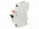 Circuit breaker; 230VAC; 220VDC; Inom: 20A; Poles: 1; Charact: C