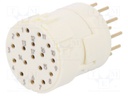 Connector: M23; PIN: 17; female; THT; 160V; 8A; Series: Han M23