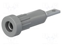 Connector: 2mm banana; socket; 10A; 30VAC; 60VDC; Cutout: Ø4.9mm