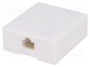 Socket; RJ45; Layout: 8p8c; screw terminal; H: 57mm; W: 50mm; D: 21mm
