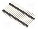 Pin header; pin strips; male; PIN: 20; double deck; straight; THT