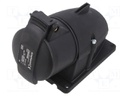 Connector: AC supply 3-phase; plug; male; straight; for cable