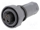 Connector: circular; plug; female; PIN: 3; Buccaneer 7000; UL94V-0