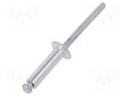 Rivet; aluminium; Rivet diam: 4.8mm; L.rivet: 19mm; 50pcs.