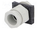 Signallers accessories: cable gland