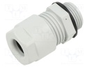 Cable gland; M20; IP66,IP68; polyamide; grey