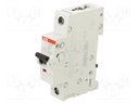 Circuit breaker; 230VAC; 220VDC; Inom: 1A; Poles: 1; Charact: Z; 10kA