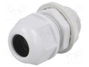 Cable gland; with long thread; M20; IP65; Mat: polyamide; grey