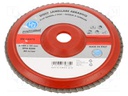 Flap grinding wheels; Ø: 180mm; Øhole: 22mm; Granularity: 120