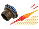 Connector: circular; D38999 series III; socket; male; PIN: 19; 7.5A
