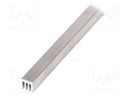 Heatsink: extruded; grilled; natural; L: 1000mm; W: 13.5mm; raw