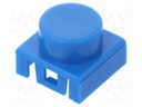 Cap; Application: KSA series,KSL series; Colour: blue