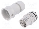 Plug; Connector: circular; female; PIN: 3; silver plated; 20A; 250V