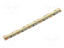 LED tape; white cold; 3528; LED/m: 240; 10.5mm; white PCB; IP65
