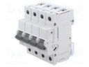 Circuit breaker; 230/400VAC; for DIN rail mounting; Charact: C