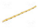 Programmable LED tape; white neutral; 12mm; IP20; 160°; 11W/m