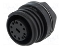Connector: circular; socket; female; PIN: 10; Buccaneer 900; IP68