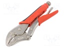 Pliers; Morse's,locking; 240mm; Mat: Chrom-vanadium steel