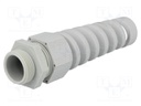 Cable gland; with strain relief; M25; IP68; Mat: polyamide; grey