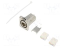D-SHAPE CAT6A PANEL CONNECTOR SHIELDED IDC TERMINATION R