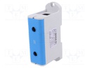 Splice terminal: rail; 240mm2; ways: 1; terminals: 2; blue; TS35