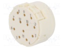 Connector: M23; PIN: 12; male; crimped; w/o contacts; 200V; 8A