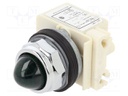 Control lamp; 30mm; 9001K; Ø30.5mm; 110÷120VAC; green; -25÷70°C