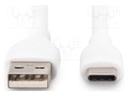 Cable; USB 2.0; USB A plug,USB C plug; nickel plated; 2m; white