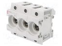 Fuse base; D01; Mounting: for DIN rail mounting; 16A; 400VAC