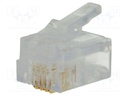 Plug; RJ11; PIN: 4; Layout: 6p4c; IDC,crimped; for cable