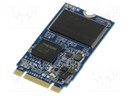 Solid State Drive; 16GB; M.2 2242; MLC; -40÷85°C