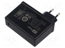 Power supply: switching; mains,plug-in; 5VDC,; 3.25A; 65W; PGW65