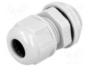 Cable gland; PG11; IP68; Mat: polyamide; light grey; UL94V-2