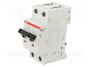 Circuit breaker; 400VAC; 400VDC; Inom: 20A; Poles: 2; Charact: C