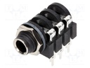 Socket; Jack 6,35mm; female; stereo; with double switch; tinned