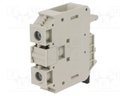 Splice terminal: rail; 35mm2; ways: 1; terminals: 2; grey; TS32,TS35