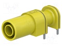 24A; yellow; brass; Plating: gold-plated; 33mm; socket