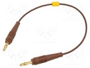 Test lead; 60VDC; 30VAC; 19A; 4mm banana plug-4mm banana plug