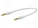 Test lead; 60VDC; 30VAC; 10A; banana plug 2mm,both sides; white