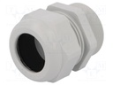 Cable gland; with long thread; PG36; IP68; Mat: polyamide; UL94V-0