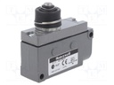 Limit switch