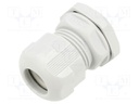 Cable gland; M25; 1.5; IP68; PA; grey