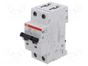 Circuit breaker; 400VAC; 400VDC; Inom: 32A; Poles: 2; Charact: B