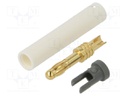 Connector: 4mm banana; plug; 32A; 30VAC; 60VDC; white; 2.5mm2